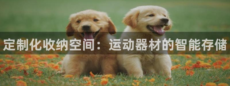 fb体育集团:定制化收纳空间:运动器材的智能存储