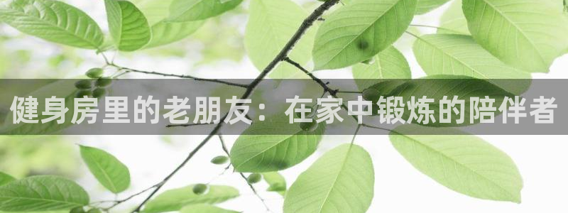 fb体育新能源:健身房里的老朋友:在家中锻炼的陪伴者